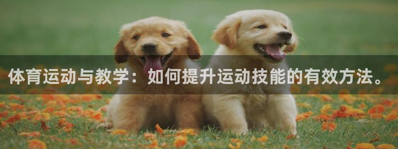 77体育：体育运动与教学：如何提升运动技能的有效方法。