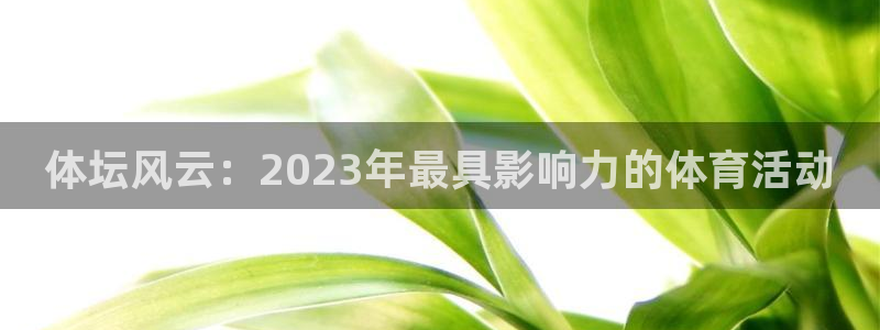 77体育app下载官网：体坛风云：2023年最具影响力的体育活动