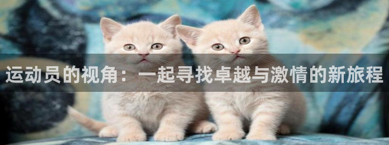 77体育官网：运动员的视角：一起寻找卓越与激情的新旅程