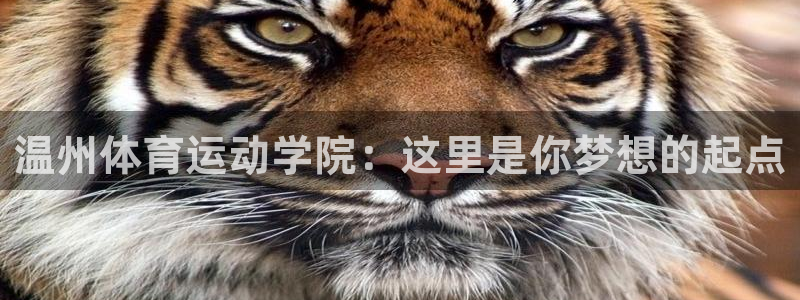 77体育官网：温州体育运动学院：这里是你梦想的起点