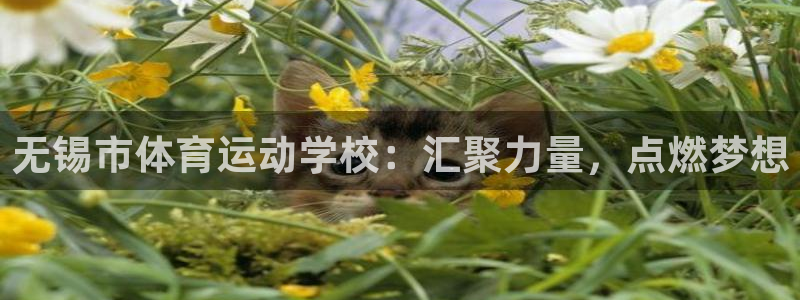皇冠277体育：无锡市体育运动学校：汇聚力量，点燃梦想