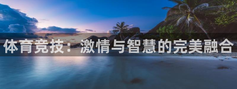 77体育官网：体育竞技：激情与智慧的完美融合