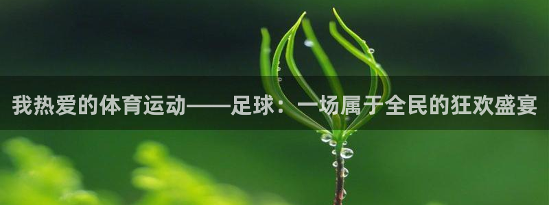 皇冠277体育：我热爱的体育运动——足球：一场属于全民的狂欢盛宴